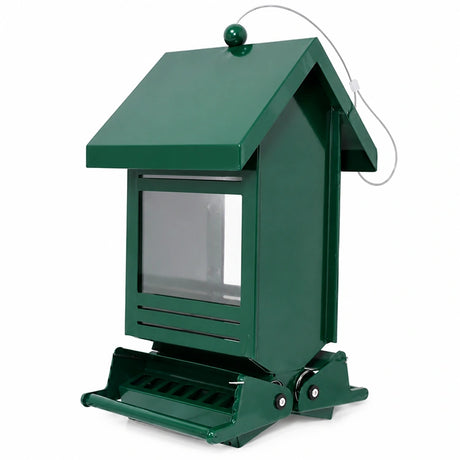 Green metal bird feeder with weather-resistant finish, angled side view showing clear seed window, roof, perch, and hanging cable.