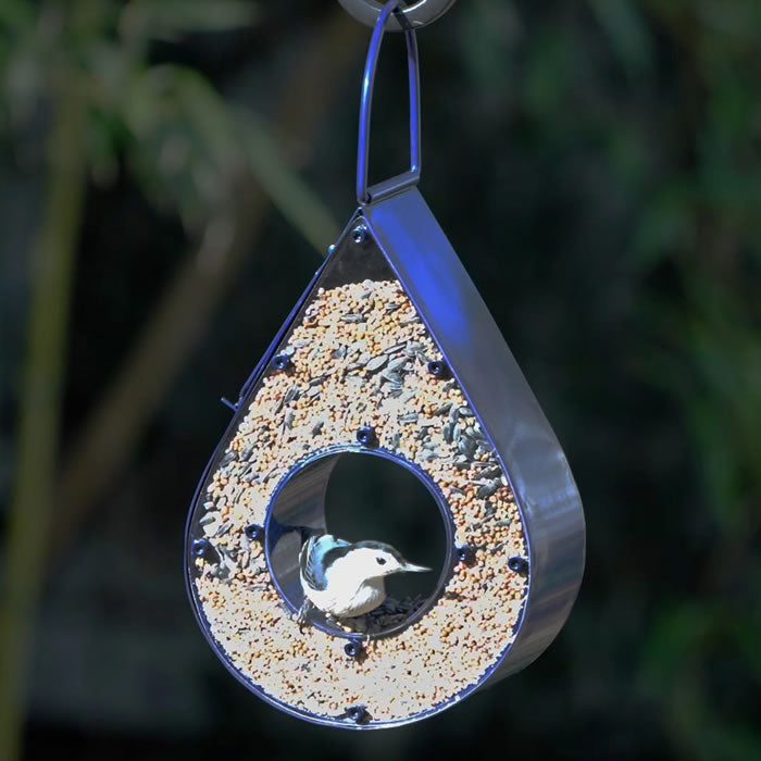 Teardrop Fly-Thru Bird Feeder, Red, with a white-breasted nuthatch inside, surrounded by mixed seeds, hanging outdoors. Durable design with easy-fill side panel.