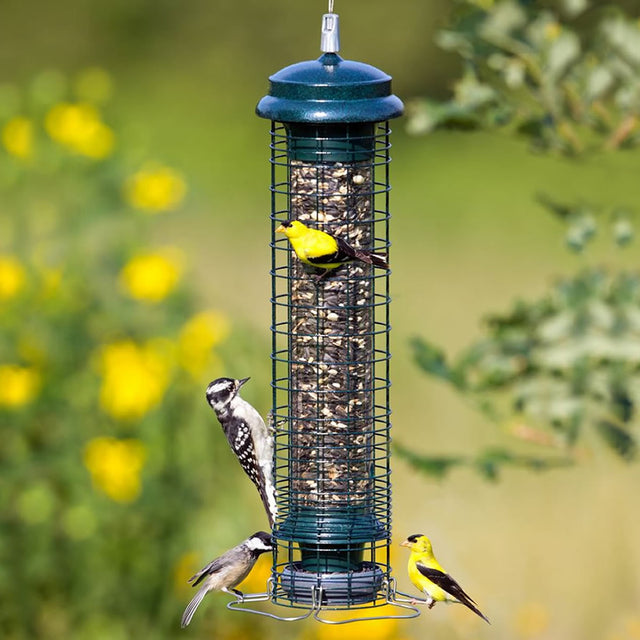 Brome Squirrel Solutions 150 Tube Bird Feeder with mixed seeds, surrounded by goldfinches, a downy woodpecker, and a chickadee, hanging in a garden setting.
