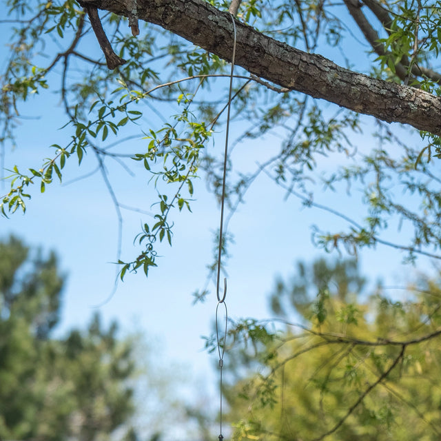 Brome Stainless Branch Hooks hanging from a tree branch, showcasing swaged loops and metal sleeve, ideal for bird feeders. Available in 12 or 24-inch lengths.
