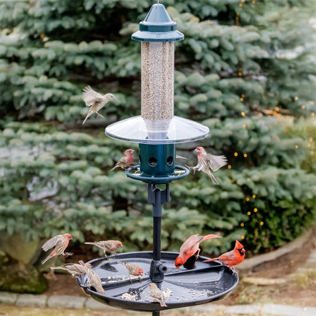 Brome Squirrel Buster Plus Podium Kit with birds feeding, featuring a squirrel-proof design, single pole setup, weather guard, and Seed Buster™ Tray.