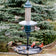 Brome Squirrel Buster Plus Podium Kit with birds feeding, featuring a squirrel-proof design, single pole setup, weather guard, and Seed Buster™ Tray.