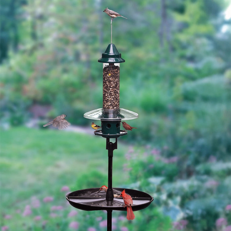 Brome Squirrel Buster Plus Podium Kit with birds feeding, featuring a squirrel-proof design, single pole setup, weather guard, and Seed Buster™ Tray.