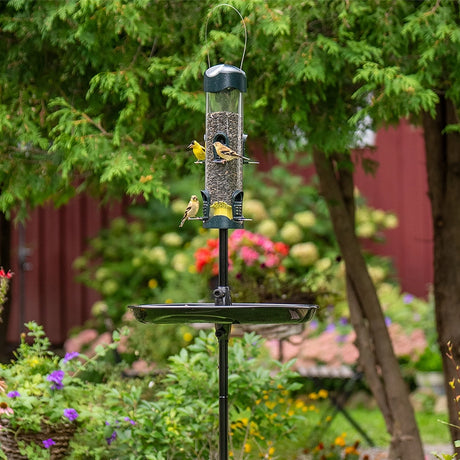 Brome Mega 600 Podium Kit with bird feeder and pole in an outdoor setting, showcasing feeder ports and seed tray, attracting a bird.