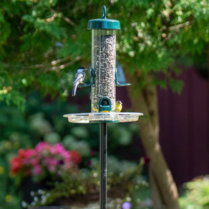 Brome Tube Solution 150 Podium Kit with birds on the feeder, showcasing its chew-proof design, Seed Tube Ventilation™, and detachable components for easy maintenance.