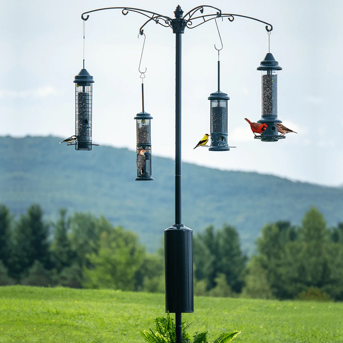 Brome Raccoon Buster® Guardian Pole System with four tube-style feeders, featuring songbirds feeding, set in a grassy yard with tree-covered hills in the background.