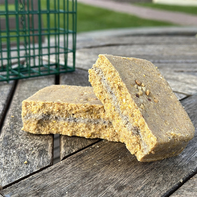Energy+ Suet Cakes with Peanut Butter Filling, 12 Cakes shown on wood surface with seeds visible, perfect for year-round feeding in included suet-cake feeder cage.