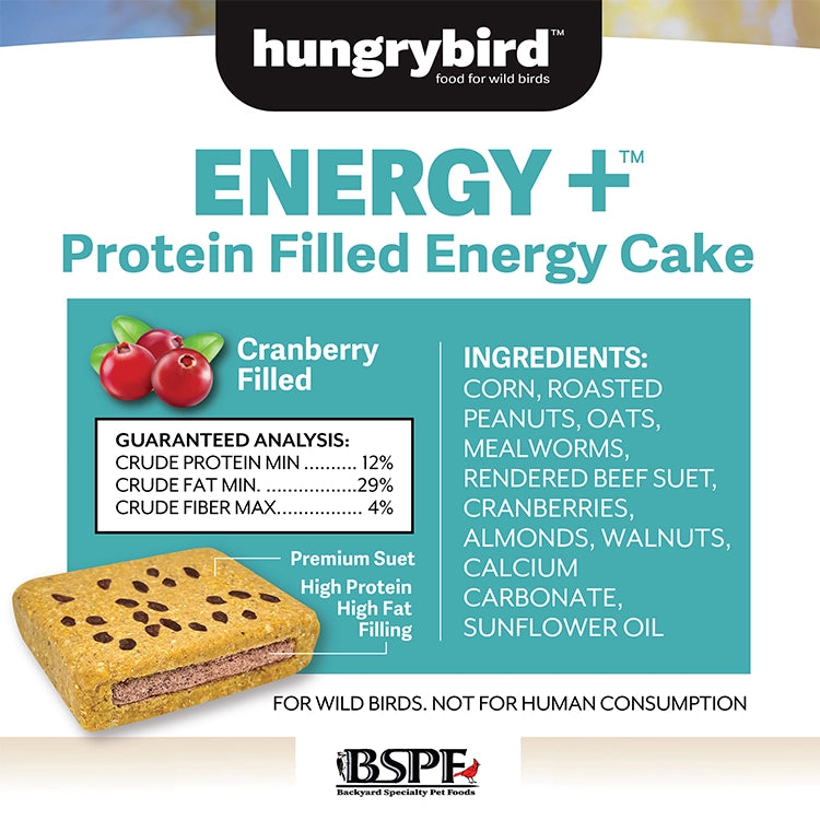 Front label of Hungrybird ENERGY+ Suet Cakes with Cranberry Filling, 12 Cakes. Premium suet, high protein, high fat. For wild birds, not for human consumption.