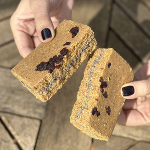 Energy+ Suet Cakes with Cranberry Filling, 12 Cakes: Coarse oat-nut exterior, chia-seed filling, topped with dried cranberries, ideal for year-round bird feeding.