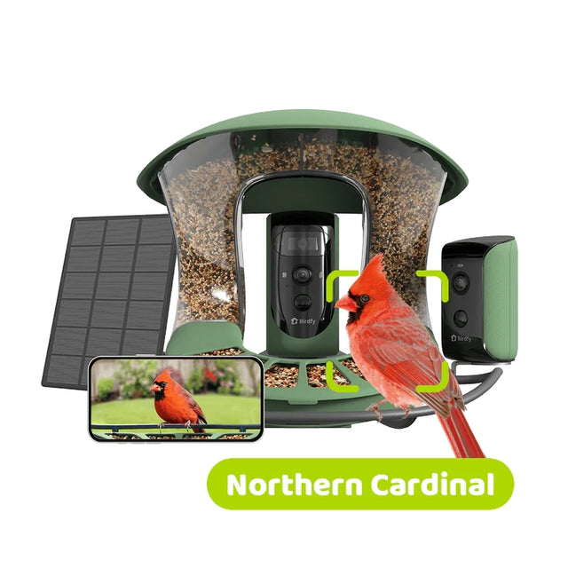 Birdfy Feeder 2 Duo - Bird Feeder with Camera shows a Northern Cardinal on the tray, highlighting solar-powered features and camera integration for bird watching.