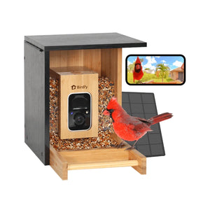 Birdfy Mini Bamboo Bird Feeder with Camera, featuring a cardinal, dual seed bins, solar panel, and live video feed on a smartphone for bird identification.