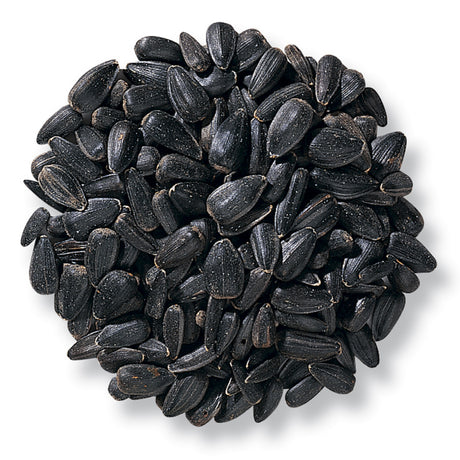 All Bird Seed