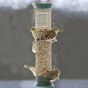 New Generations Metal Peanut Feeder with birds perched, showcasing its durable zinc die-cast metal design and snug sliding cap for easy peanut filling.