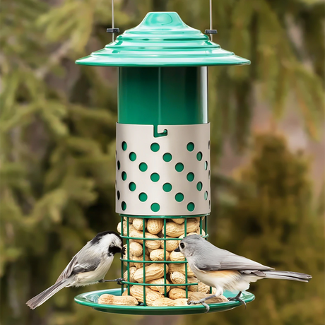 Combo Mealworm, Suet Balls or Peanut Feeder with green metal roof, perforated sheath, and peanuts. Two songbirds, a chickadee and tufted titmouse, peck at peanuts.