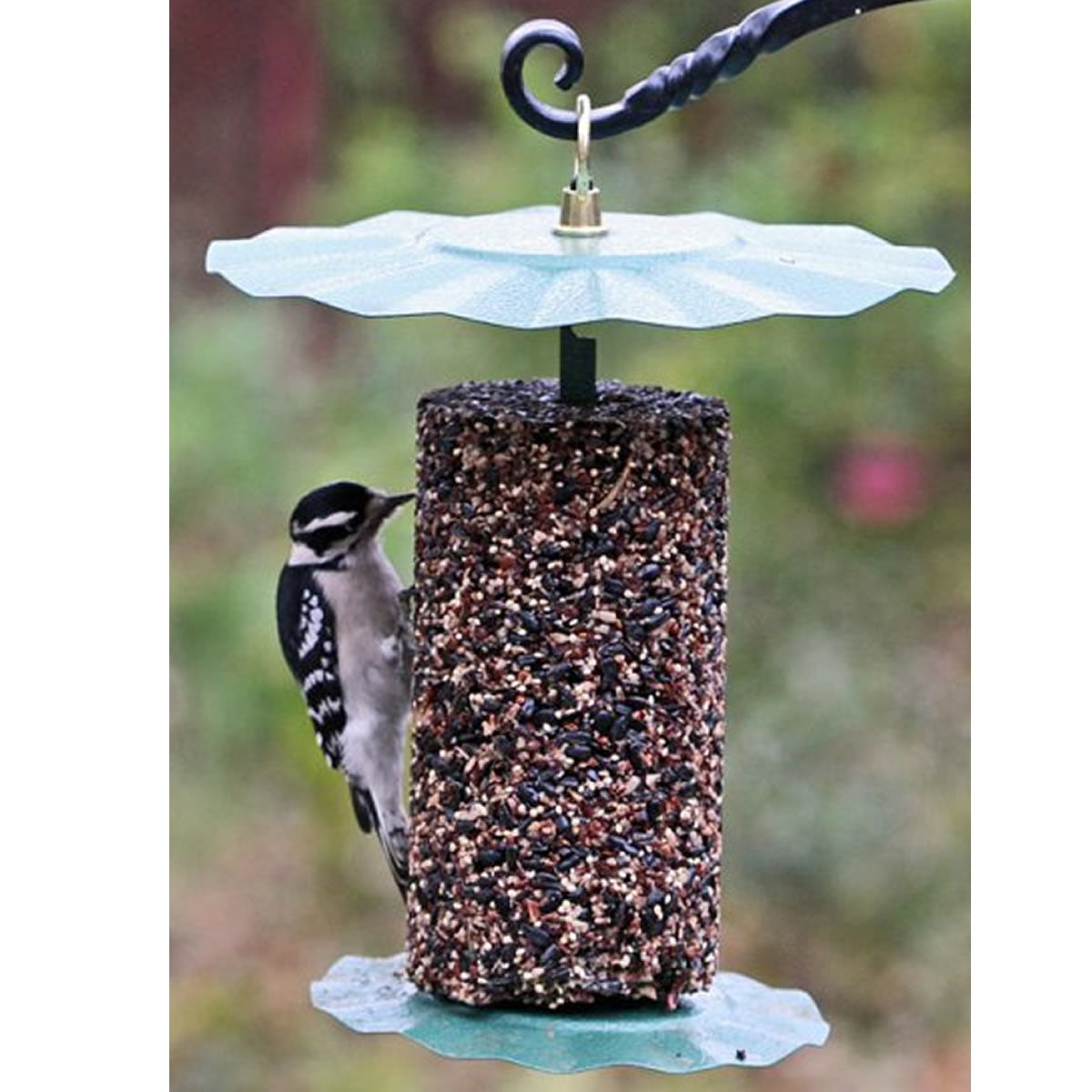 Seed Cylinder Holder with a woodpecker feeding on a seed block between metal plates, featuring a forest green weather baffle and brass hanging loop.