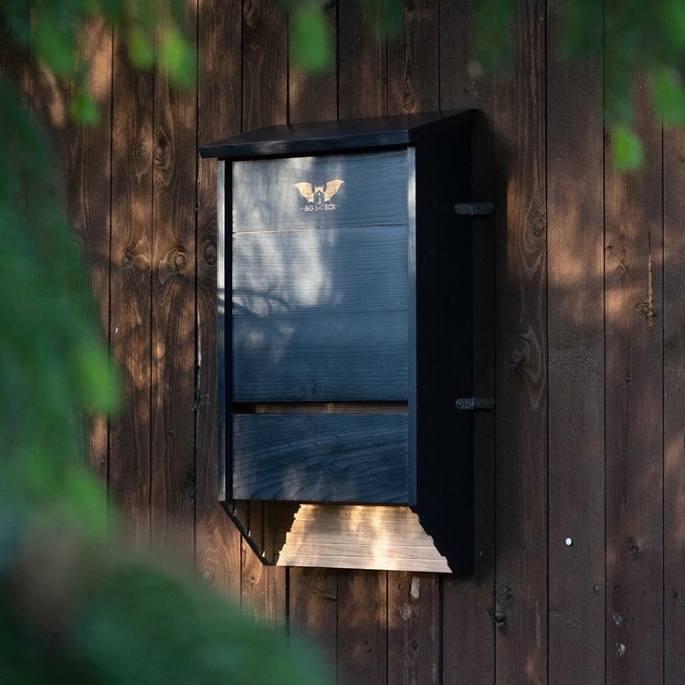 Three-Chamber Bat House, Cedar, mounted on a wooden building, surrounded by foliage, serving as a spacious, weather-resistant roosting site for bats.