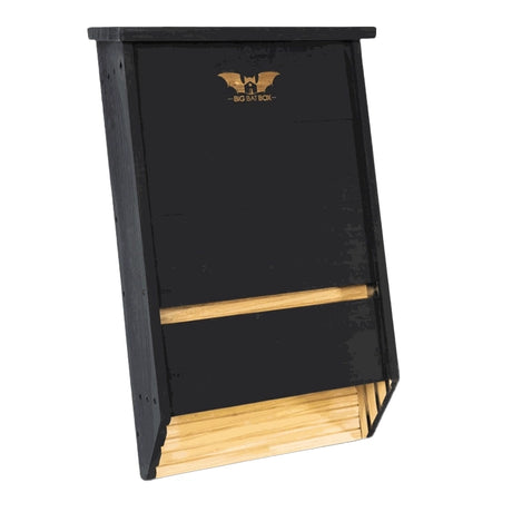 Triple Chamber Bat House on a white background. 