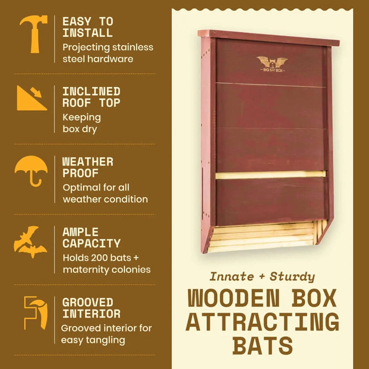 Bat house benefit sheet describing how sturdy it is with a plain background. 