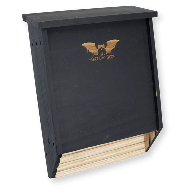 Three-Chamber Bat House, Black: A sloped-front, cedar bat box branded Big Bat Box, features two chambers with grooved interiors, pre-assembled for easy mounting.