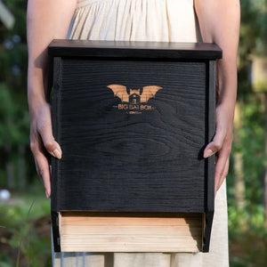 Person holding a Three-Chamber Bat House, Black by Wildlife, featuring a stylized bat logo, small entry slot, and black-painted cedar design for outdoor bat roosting.
