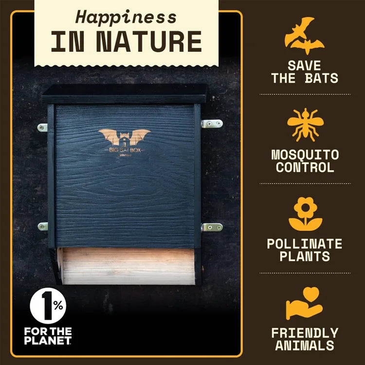Three-Chamber Bat House, Black: Dark-stained cedar bat box mounted on a wall, promoting bat conservation and natural mosquito control, featuring weatherproof design and grooved interior for easy roosting.