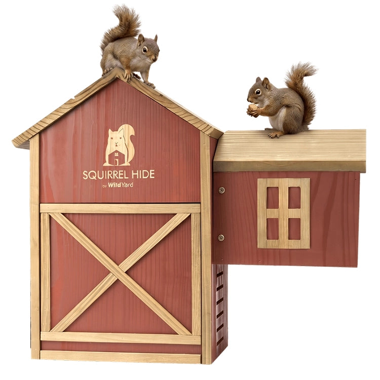 WildYard cedar squirrel house and feeder with red barn design and two gray squirrels perched on the roof