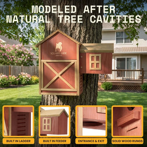 A red and natural wood squirrel house mounted on a tree in a backyard setting, with text reading 'MODELED AFTER NATURAL TREE CAVITIES' and four inset detail panels showing built-in ladder, feeder, entrance/exit, and solid wood rungs.