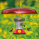 Fliteline Feeder & Baffle Set with hummingbirds hovering near, featuring six feeding ports, wraparound perch, and built-in ant moat for easy feeding and cleaning.