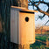 Woodlink Flicker House mounted on a tree, featuring a 2-1/2 inch entry hole, built-in ladder, and ventilation for flickers to nest and fledge safely.