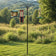4 Arm Extended Reach Bird Feeding Station with green suet feeder, red hopper, and clear tube feeder on a sturdy metal pole in a meadow.