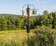 Squirrel-Proof Super Tall Quad Hanger featuring a three-arm pole with squirrel baffle, set in a grassy outdoor area, holds multiple bird feeders.