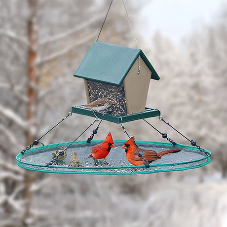 Bird feeder with birds on a snowy background