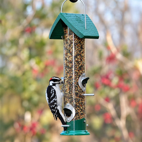 A green and clear cylindrical bird feeder filled with seeds, hanging outdoors with a black-and-white woodpecker perched on the side against a blurred natural background.
