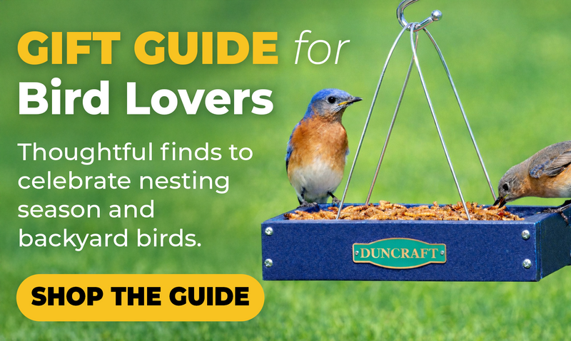 Gift Guide for Bird Lovers image that has a "shop the guide" button