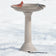 All Seasons Heated Bird Bath in snow with Northern Cardinal and White-breasted Nuthatch on rim, featuring a hidden electric cord for winter use.