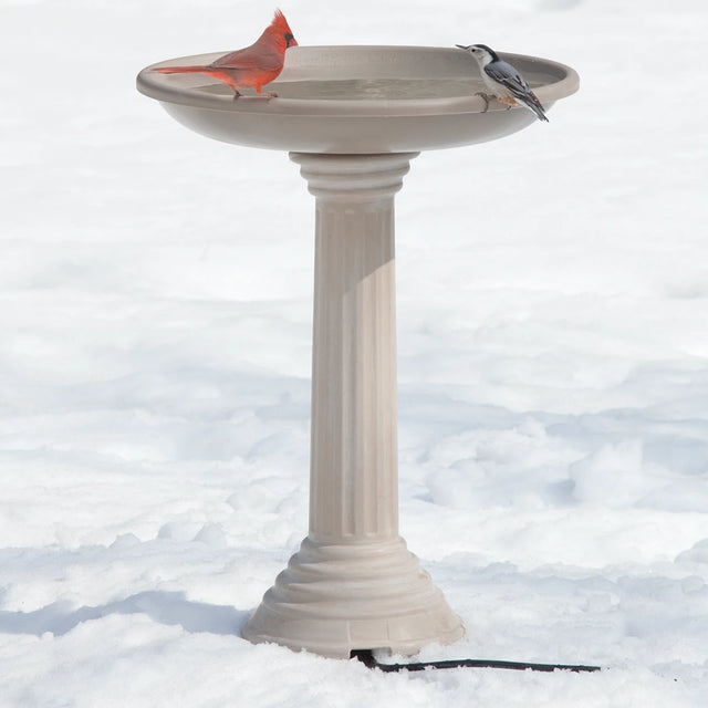 All Seasons Heated Bird Bath in snow with Northern Cardinal and White-breasted Nuthatch on rim, featuring a hidden electric cord for winter use.