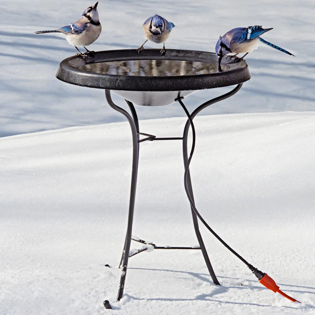 Heated Bird Bath with Pedestal in snow, featuring a metal heater on a tripod stand, three blue jays drinking from unfrozen water, and an orange extension cord.