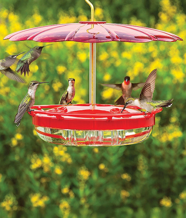A hanging hummingbird feeder with a translucent red top canopy, a red rim, and a clear bowl, shown with several hummingbirds in a blurred green and yellow outdoor background.