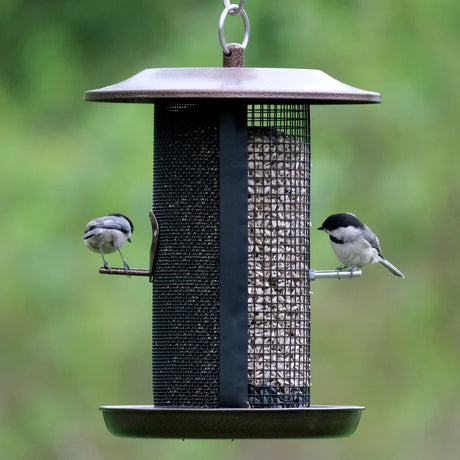 Beloved Bronze Dual-Chamber Metal Mesh Bird Feeder hanging outdoors, featuring two mesh seed chambers and multiple birds feeding from the circular perch tray.