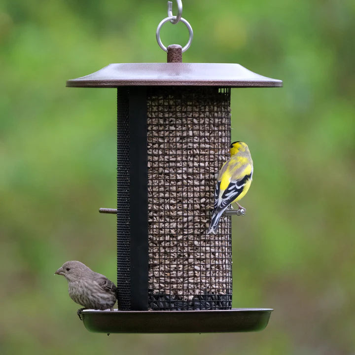 Beloved Bronze metal mesh bird feeder with songbirds perched on the feeding tray and mesh panels filled with seed.