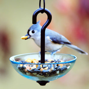 Tufted titmouse perched on Mosaic Birds Single Hanging Poppy Bird Feeder, filled with seeds, showcasing the feeder's glass dish and metal hanger design.