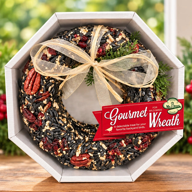 Mr. Bird Gourmet birdseed wreath with pecans and a gold bow in an octagonal gift box, displayed beside holiday greenery.