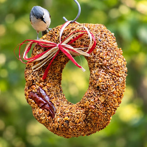 Flaming Hot Feast Bird Seed Wreath: A bird stands on a seed wreath decorated with a bow, designed to feed birds and deter squirrels.
