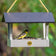 Modern Farmhouse Fly-Thru Bird Feeder with a yellow and black bird perched on it, showcasing its open platform and durable driftwood design.