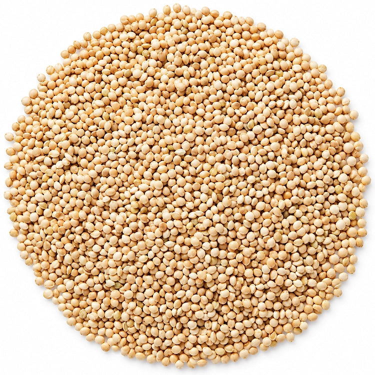 Cole's White Millet Wild Bird Seed, 10-lb bag, featuring a pile of white millet seeds, ideal for ground-feeding birds like buntings and juncos.