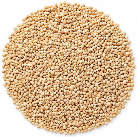 Cole's White Millet Wild Bird Seed, 10-lb bag, featuring a pile of white millet seeds, ideal for ground-feeding birds like buntings and juncos.