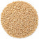 Cole's White Millet Wild Bird Seed, 10-lb bag, featuring a pile of white millet seeds, ideal for ground-feeding birds like buntings and juncos.