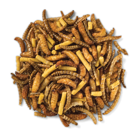 Mealworms & Insect Foods