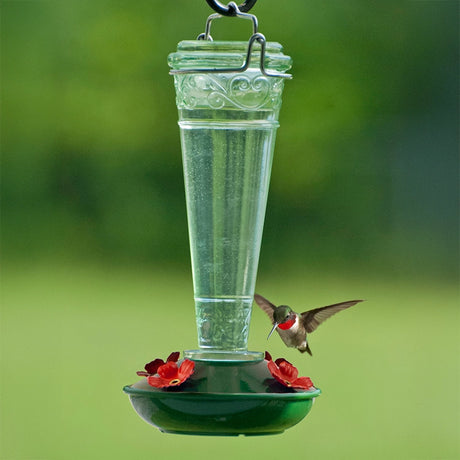 8 oz. Torchiere Glass Hummingbird Feeder with red flower ports and embossed green glass, attracting a hummingbird as it hovers to drink nectar.