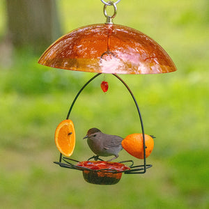 Oriole Flower Feeder with Orange Dome, featuring a glass dish for jelly and skewers with orange halves, attracts fruit-eating songbirds.